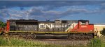 CN 8844